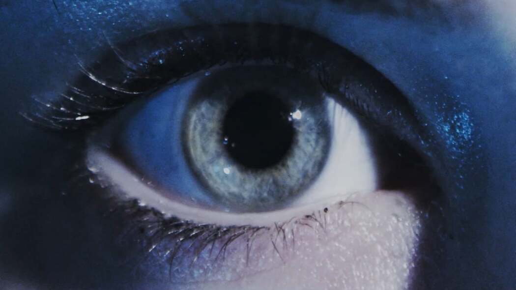 ჩამარხული  ქართულად -  Entombed