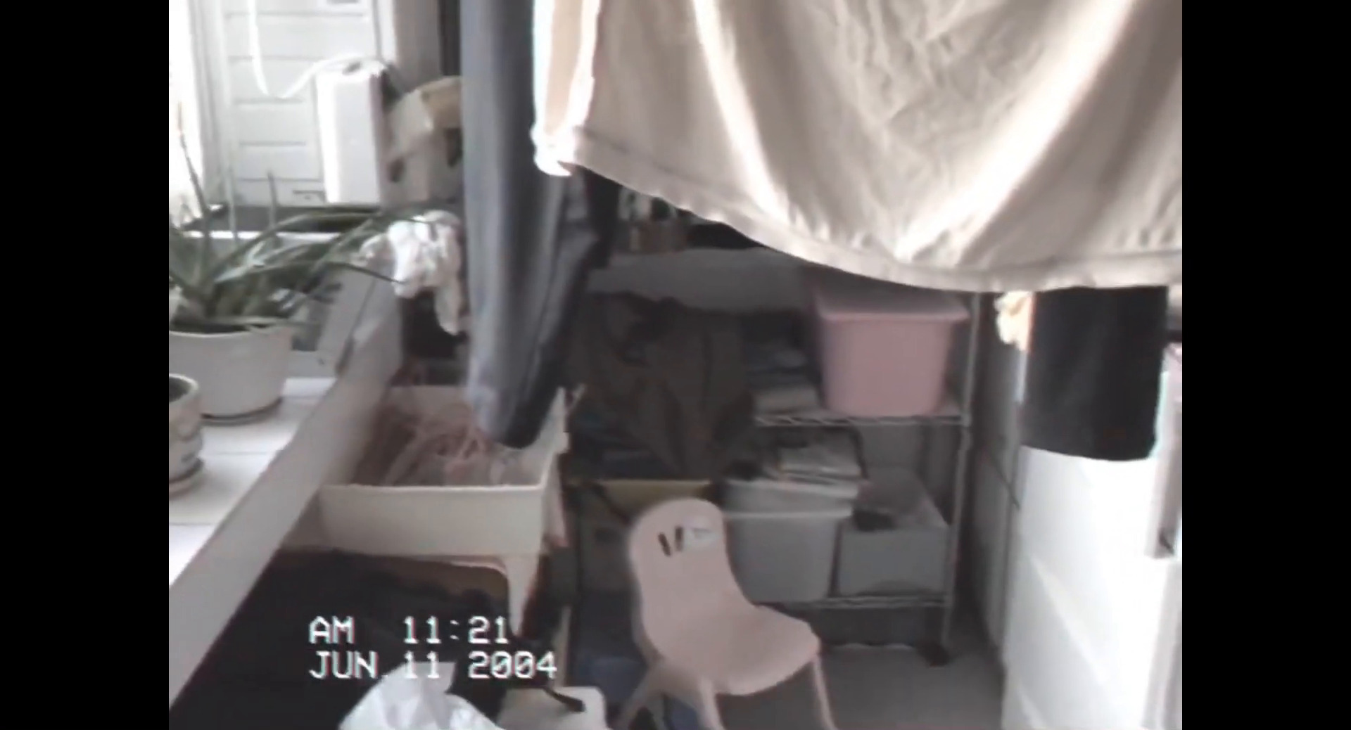 ყმუილი  ქართულად -  The Howling