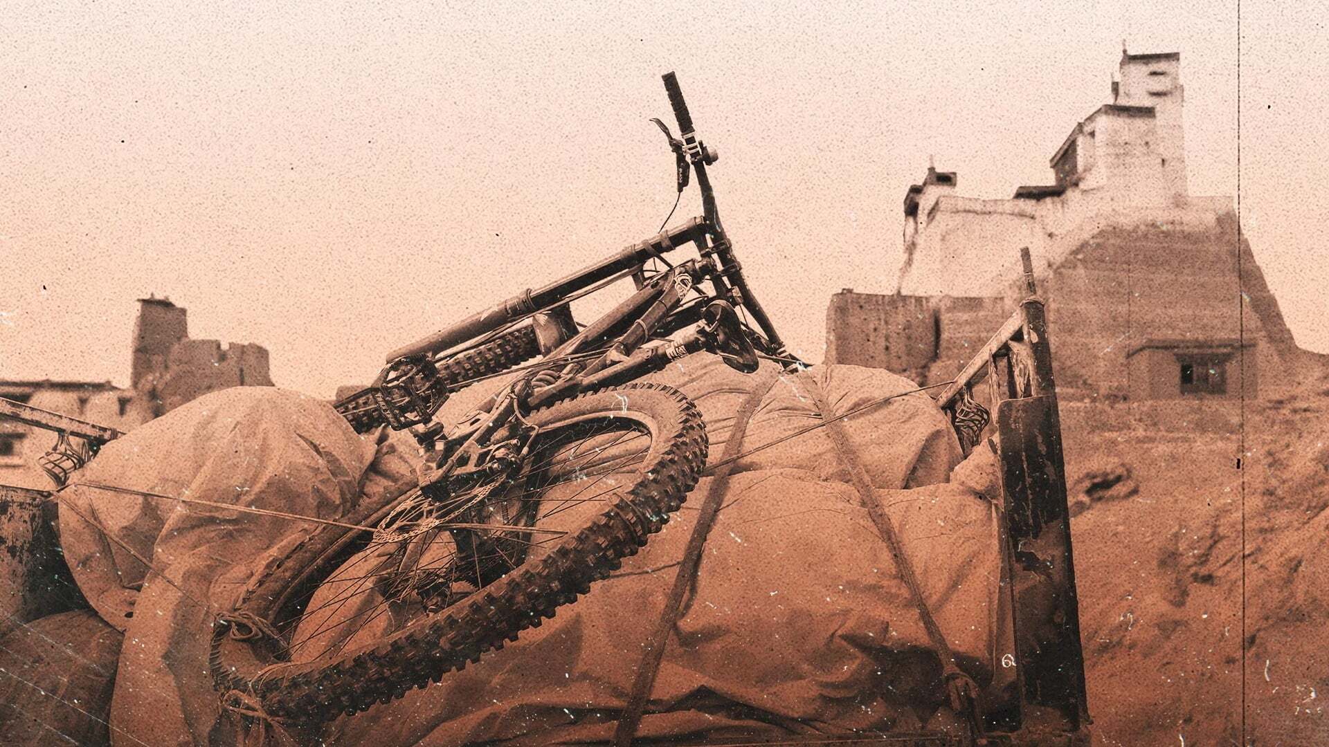 თანამონაწილე  ქართულად -  Accomplice