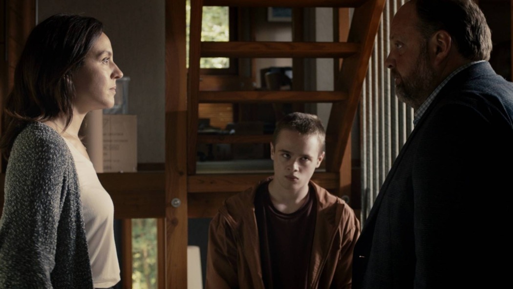 ღარიბი ჟორჟი!  ქართულად -  Pauvre Georges!