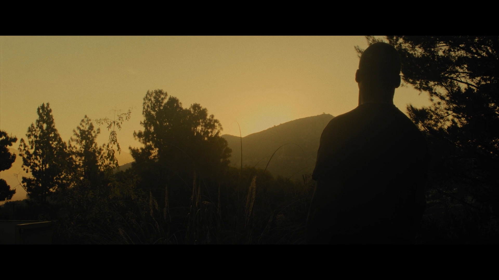 ორმაგი ფსონი  ქართულად -  Double Down