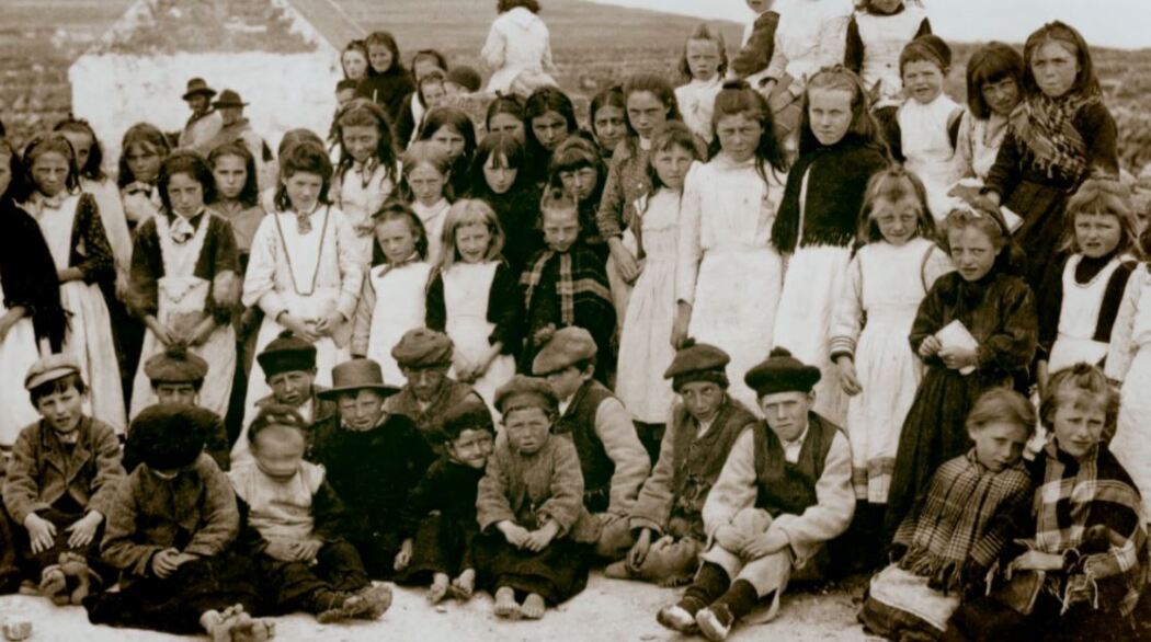 შიმშილი  ქართულად -  The Hunger