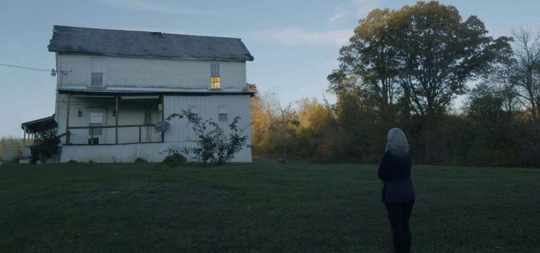 გაანათე ღამე  ქართულად -  Light Up Night