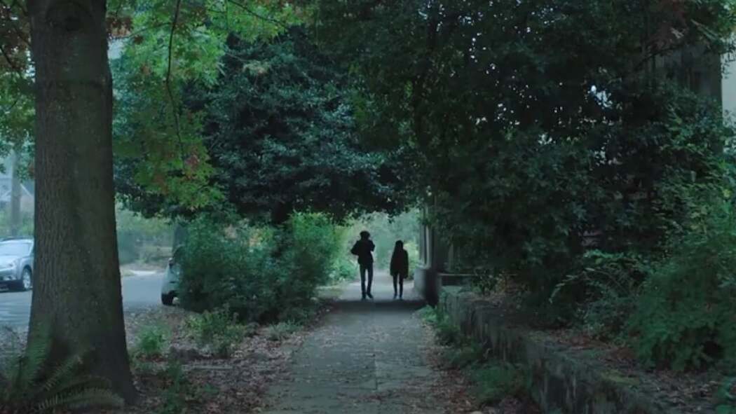 ახალგაზდა გულები  ქართულად -  Young Hearts