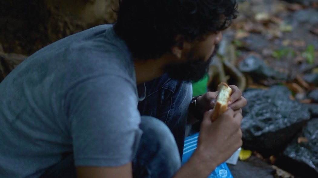 პოზიტიური აპოკალიფსი  ქართულად -  Positive Apocalypse