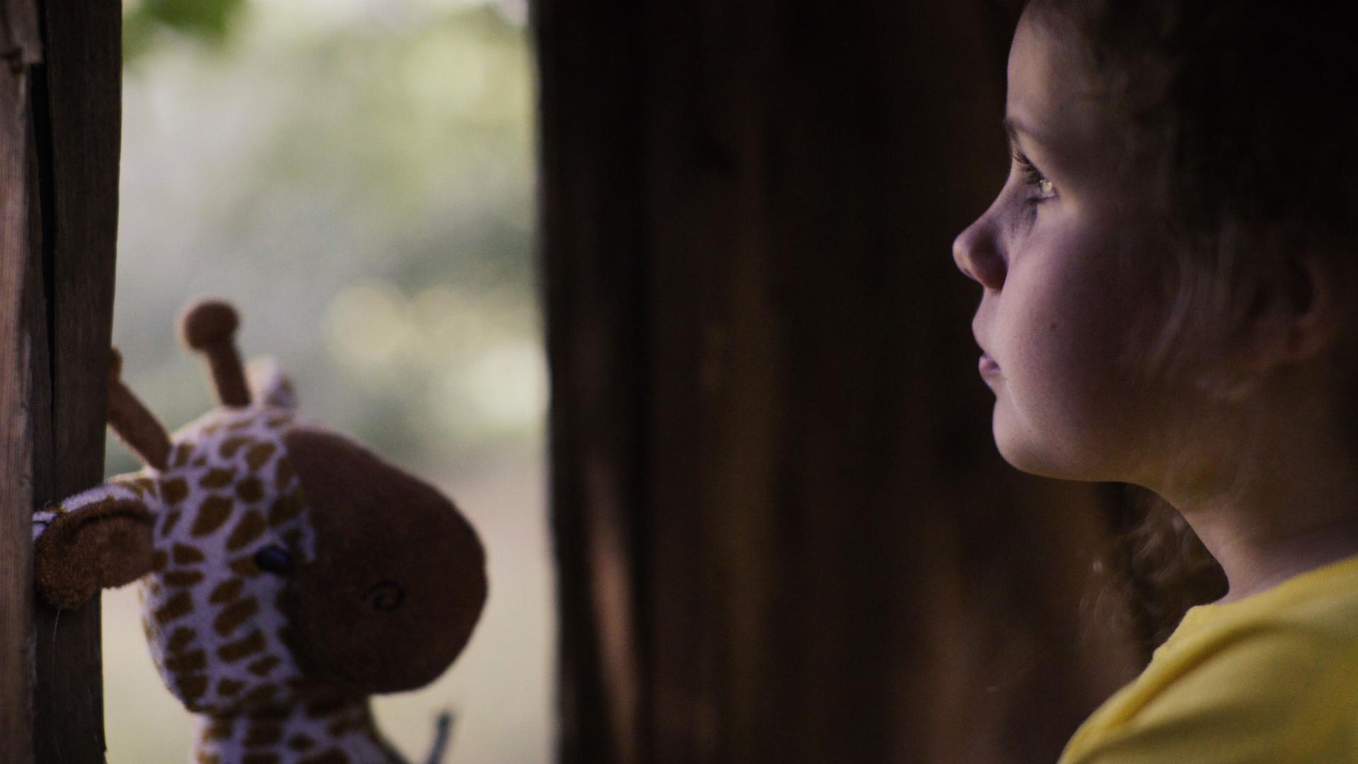 სიწყნარე ქარიშხლის წინ  ქართულად -  Calm Before