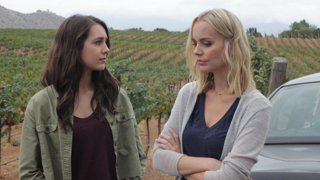 მკვლელობა ვენახში  ქართულად -  Murder in the Vineyard