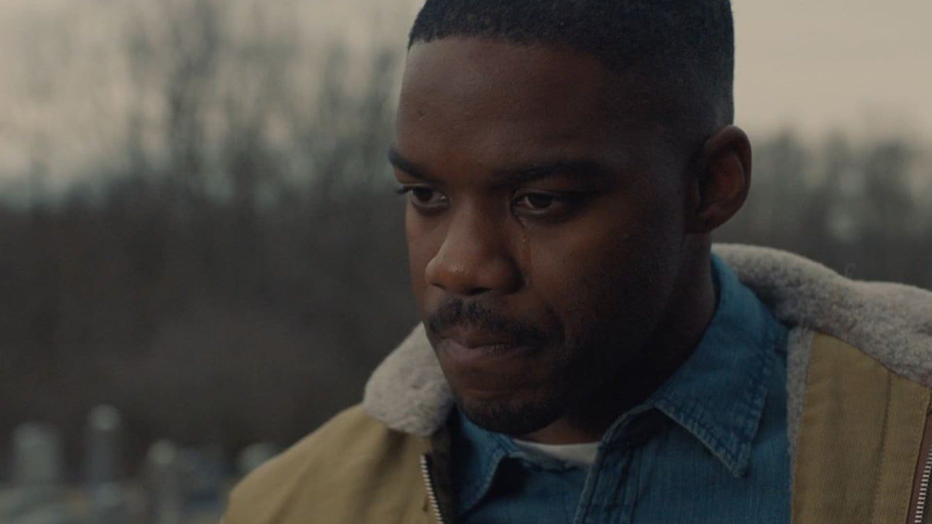 სასტიკი გული  ქართულად -  The Violent Heart