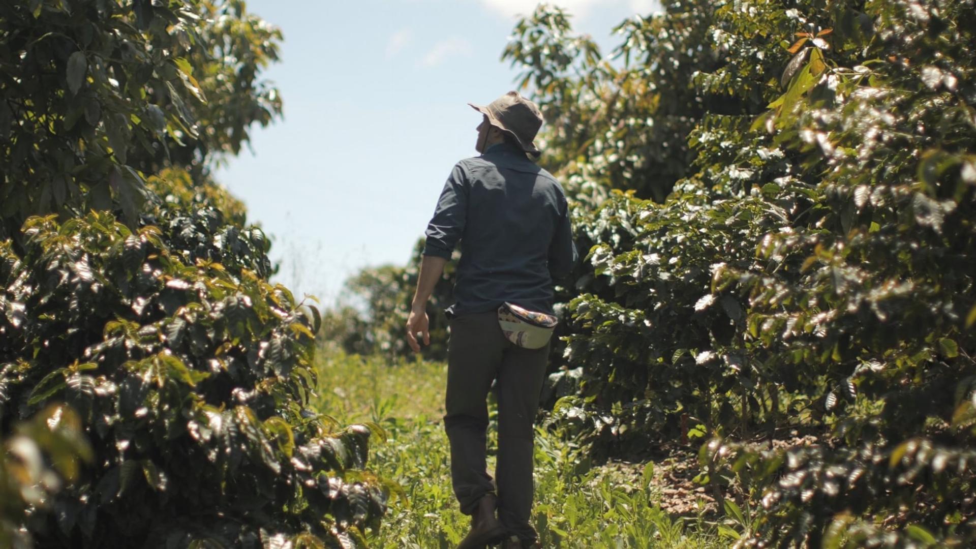 ეამბორე მიწას  ქართულად -  Kiss the Ground