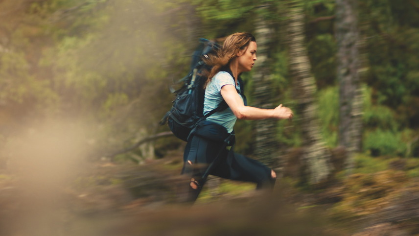 უკაცრიელი ადგილი სიკვდილისათვის  ქართულად -  A Lonely Place to Die