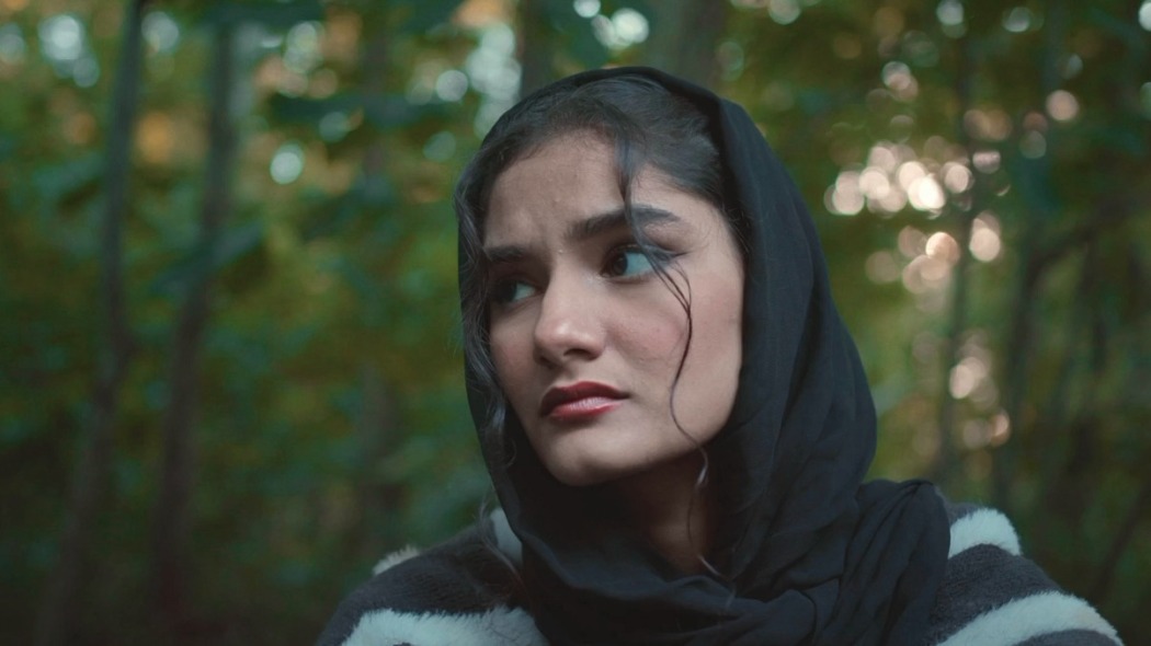 დაკარგულნი და დაუოკებელნი  ქართულად -  Lost amp Striving