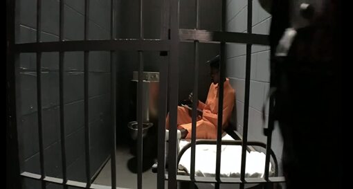 ჩვენ - ნაფიცი მსაჯულები: საქმე # 1  ქართულად -  We the Jury: Case 1