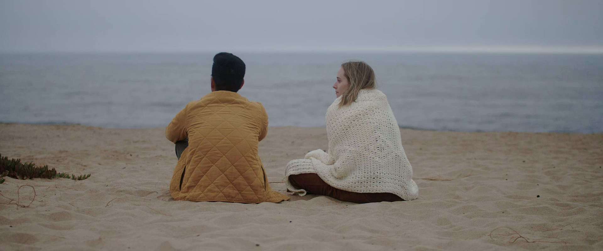 მარადმწვანე  ქართულად -  Evergreen