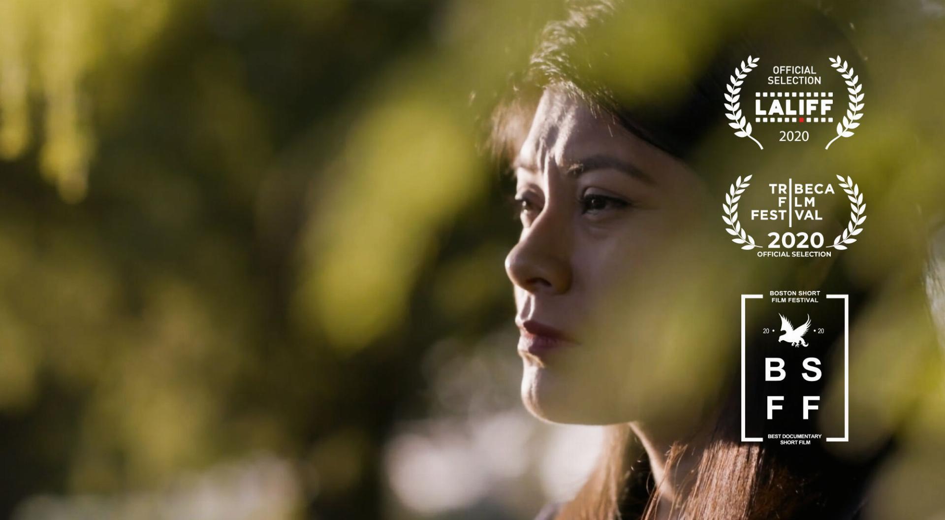 უსაბუთო ადვოკატი  ქართულად -  The Undocumented Lawyer