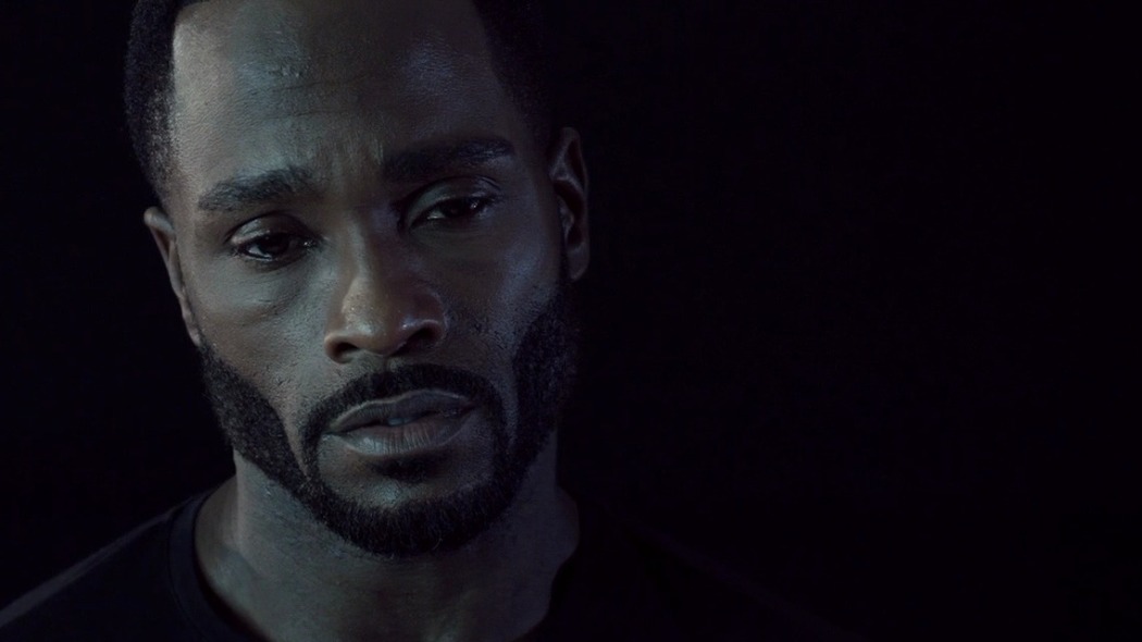 ორი მგელი  ქართულად -  Two Wolves