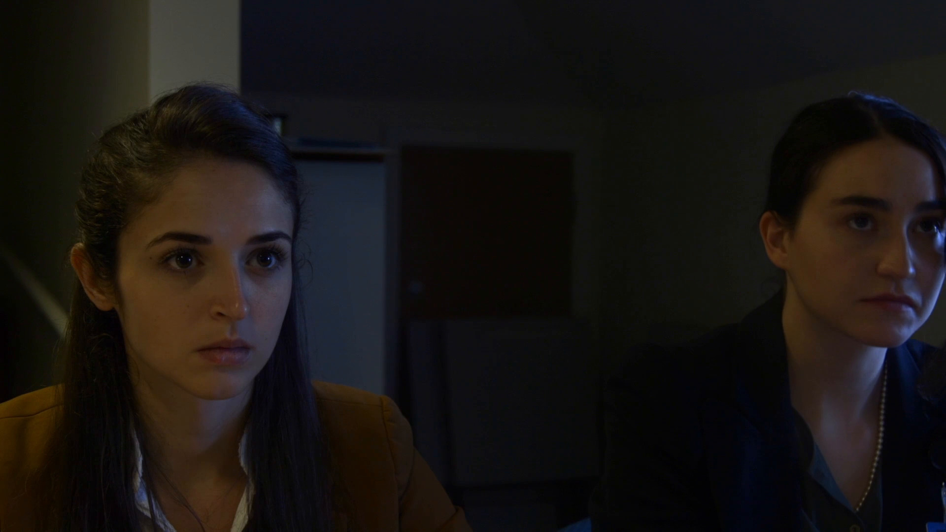 მიზეზობრიობა  ქართულად -  A Matter of Causality