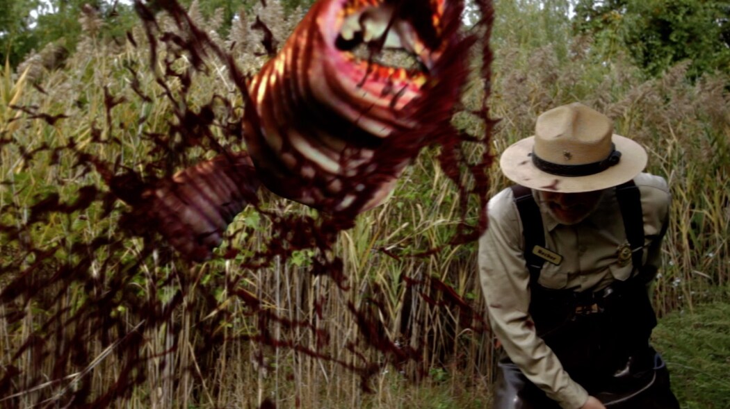 მატლები  ქართულად -  Maggots