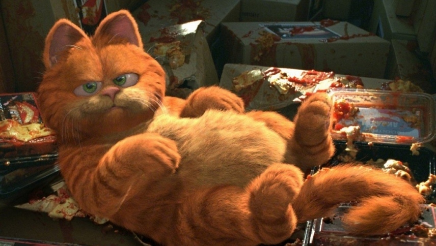 გარფილდი  ქართულად -  Garfield