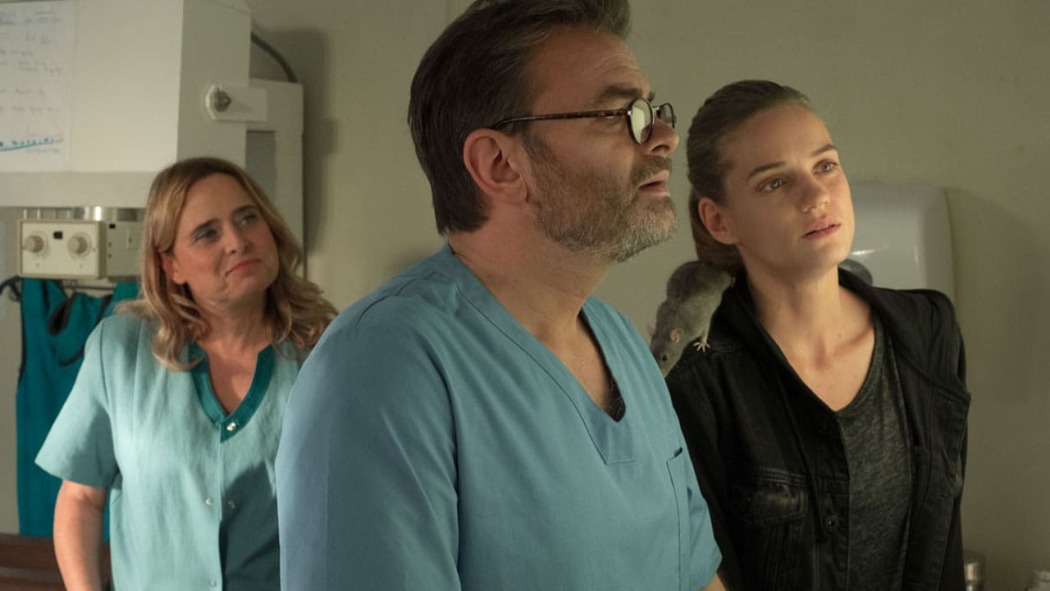 ვეტერინარები  ქართულად -  The Vets