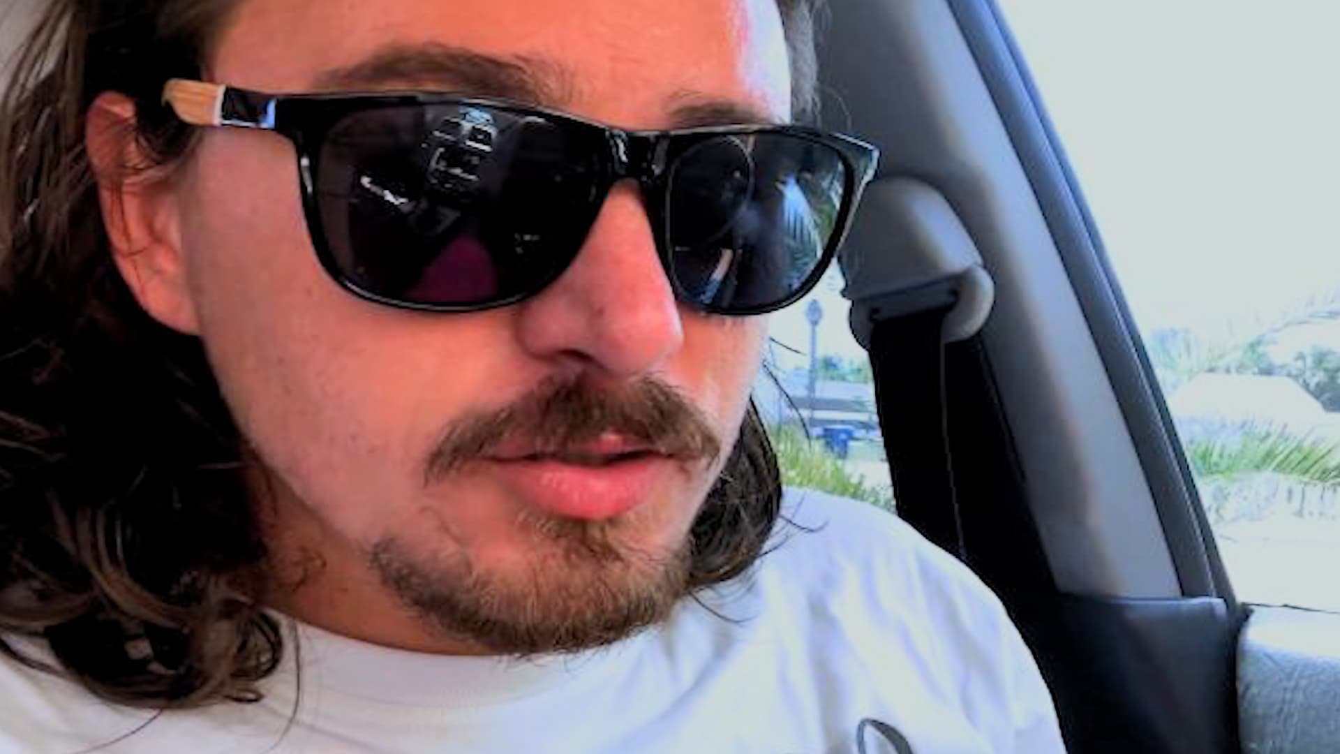 ყვავილების ლენტები  ქართულად -  The Flower Tapes