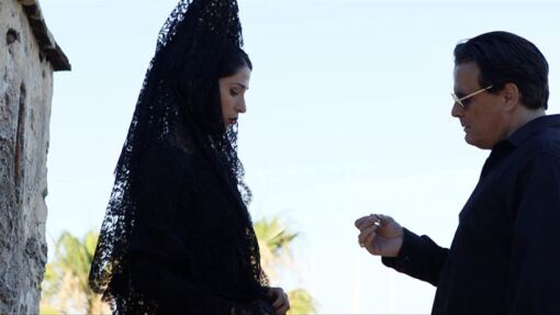 ლათინოსი მკვლელი  ქართულად -  Latin Hitman