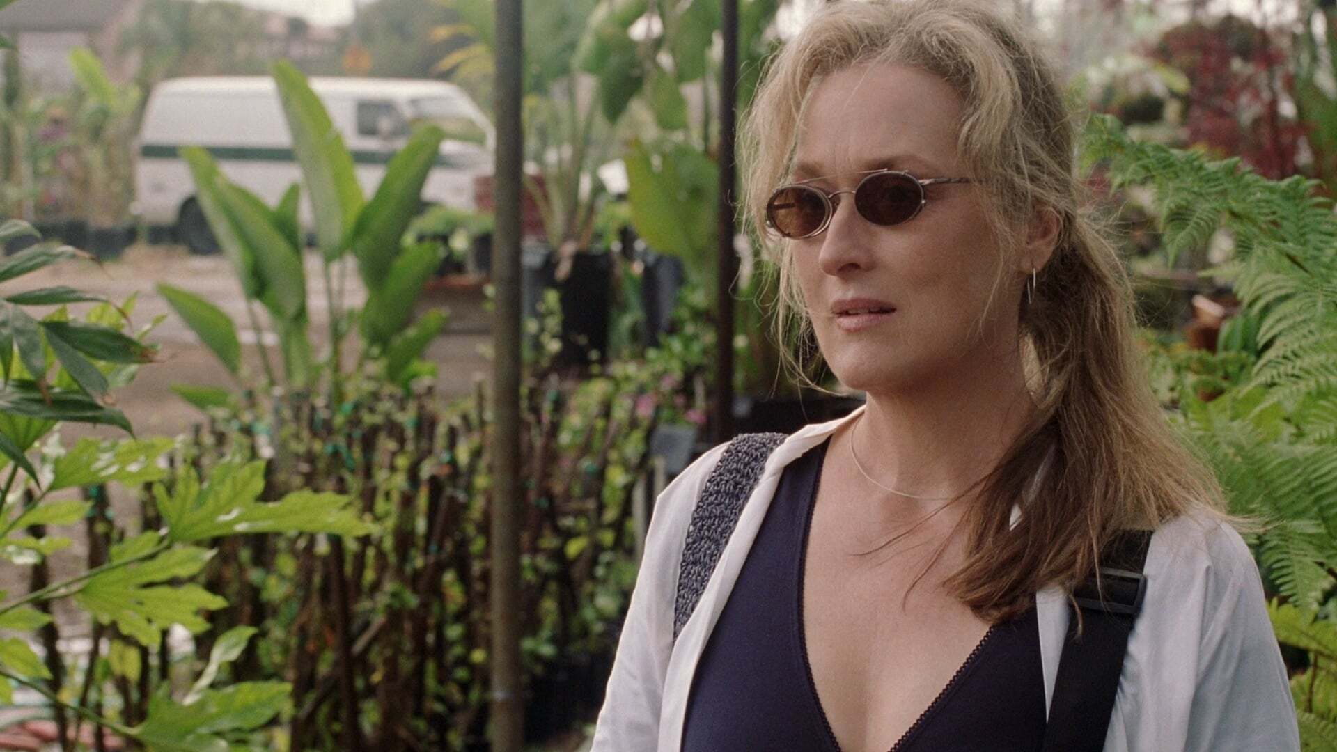 ადაპტაცია  ქართულად -  Adaptation.