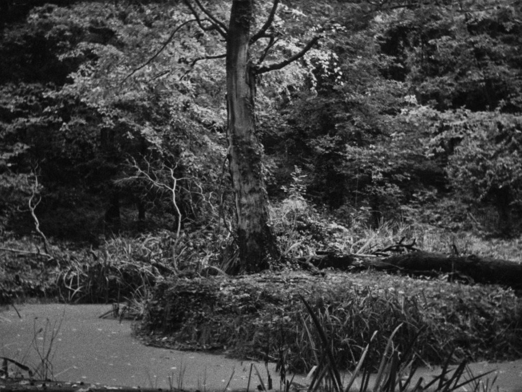 სამხრეთი  ქართულად -  South