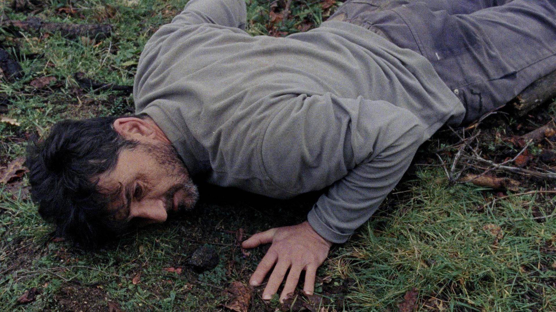 ალვა  ქართულად -  Alva