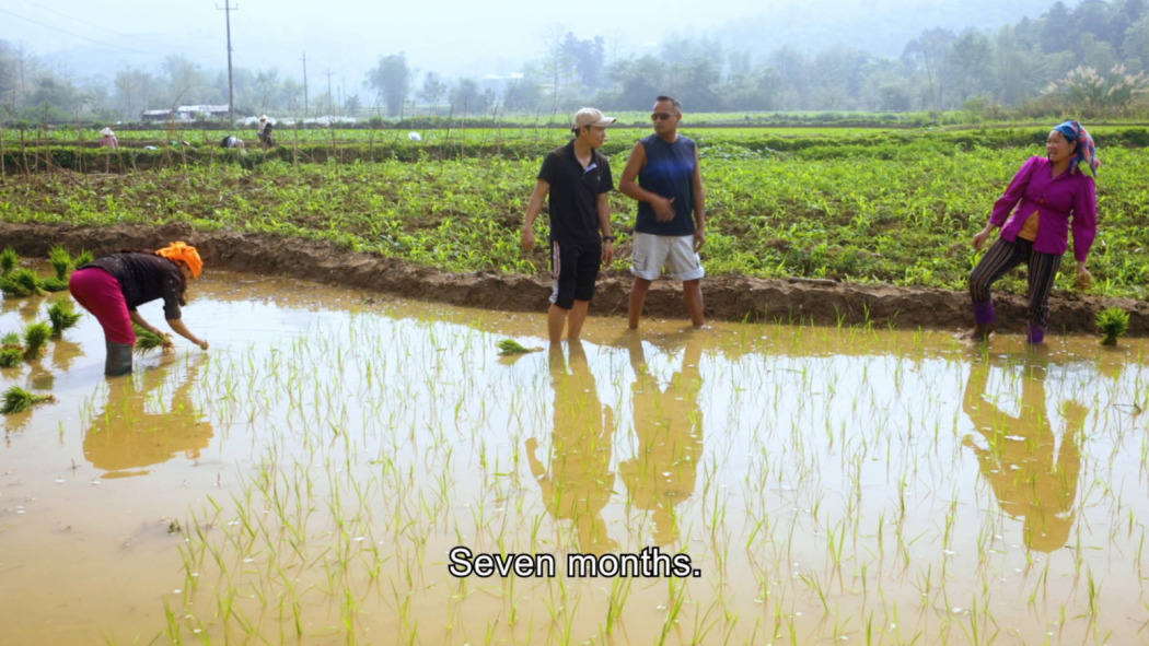ვიეტნამი: სწრაფად წინ  ქართულად -  Vietnam: Fast Forward