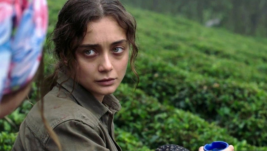 სიბელი  ქართულად -  Sibel