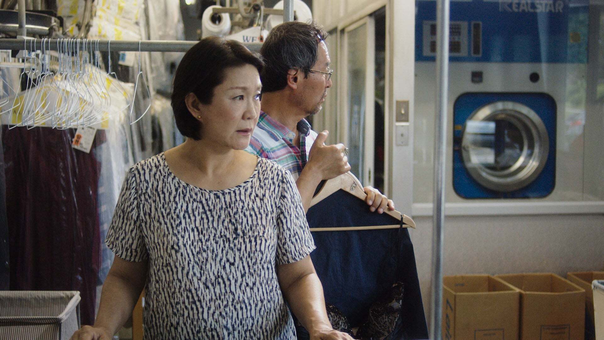 ბედნიერი მწმენდავები  ქართულად -  Happy Cleaners