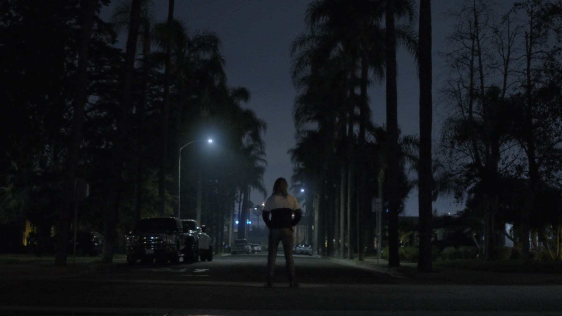 პირველყოფილი  ქართულად -  Primal