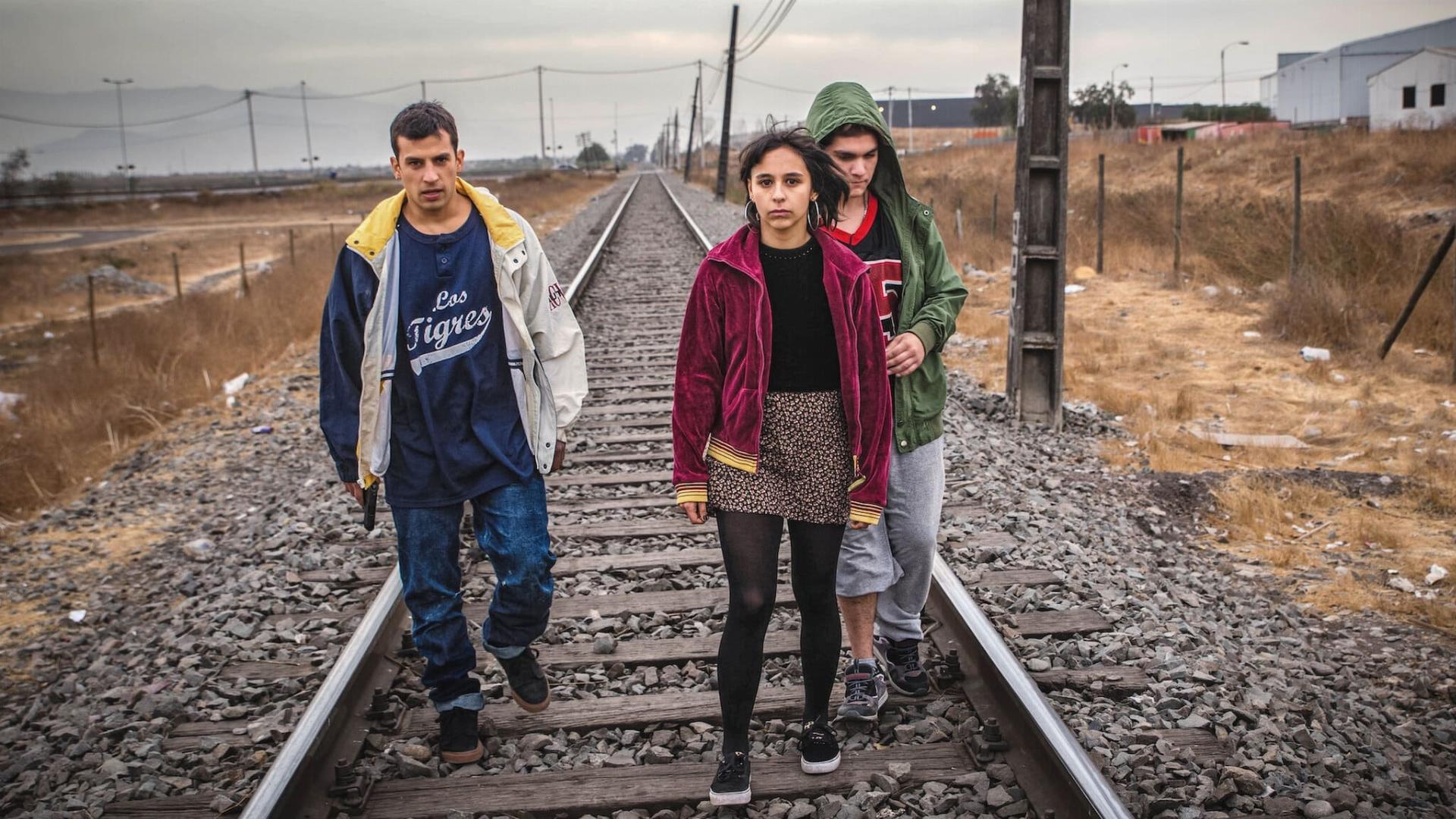 პიოლა  ქართულად -  Piola