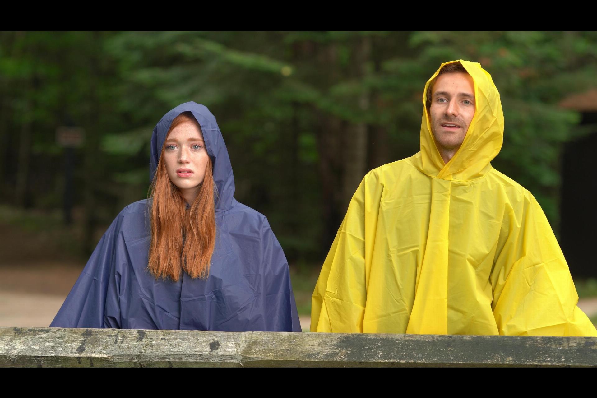 დასავლეთ მიჩიგანი  ქართულად -  West Michigan