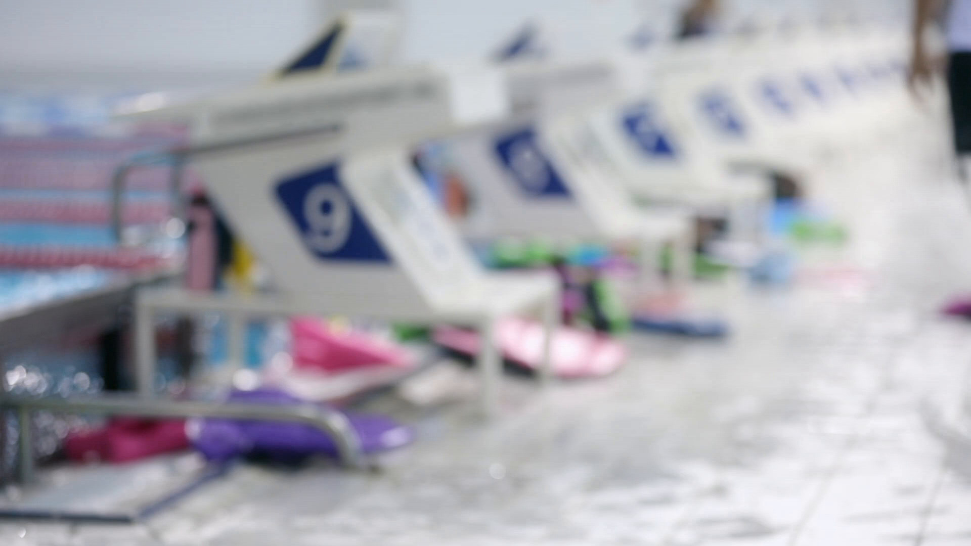 შემზადებული  ქართულად -  Groomed