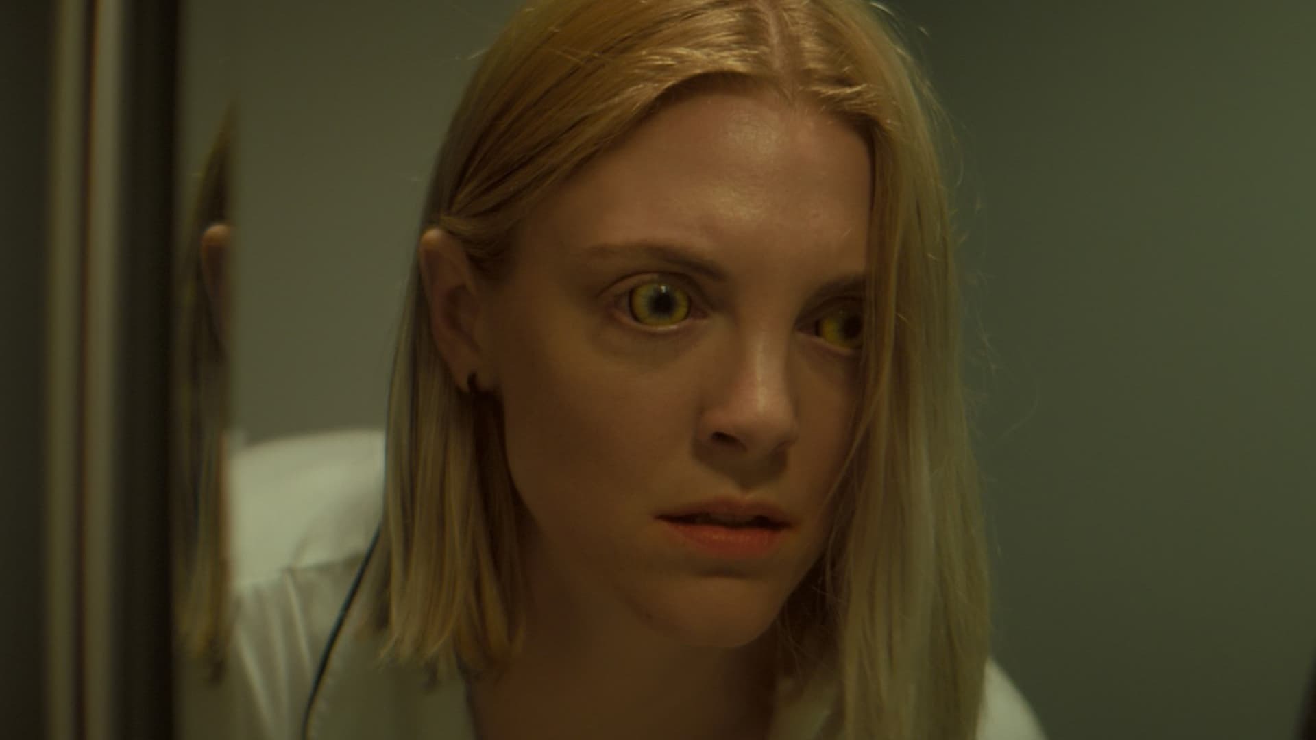 სისხლის წყურვილი  ქართულად -  Bloodthirsty