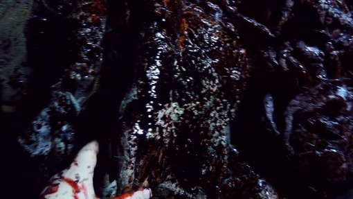 სასტუმრო ინფერნო 3: კივილის სასახლე  ქართულად -  Hotel Inferno 3: The Castle of Screams