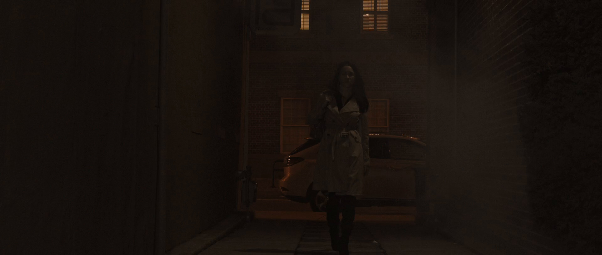 შავბნელი სახელმწიფო  ქართულად -  Dark State