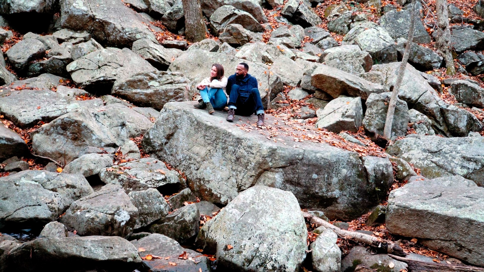 უხილავი ტყუილი  ქართულად -  Invisible Lies