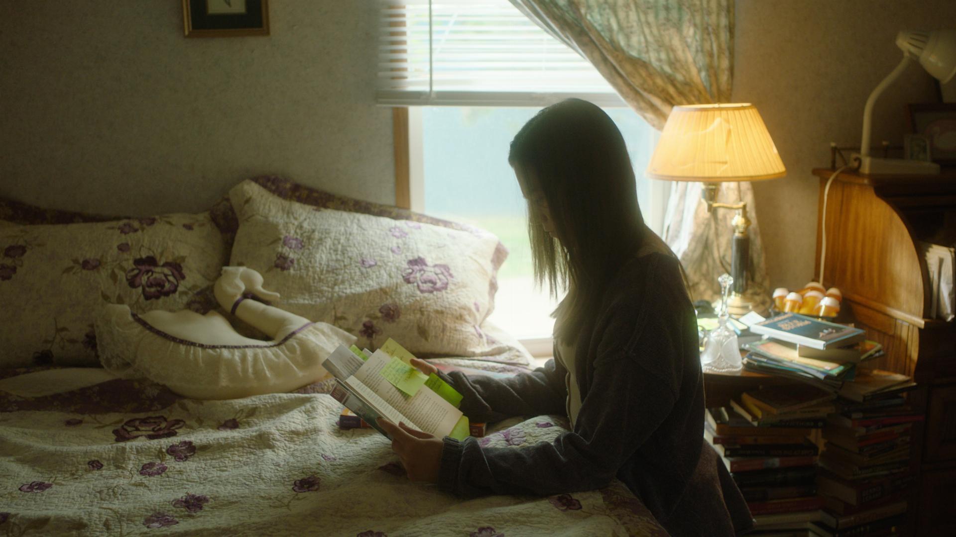 მოგონებები მკვლელობის შესახებ  ქართულად -  Souvenirs