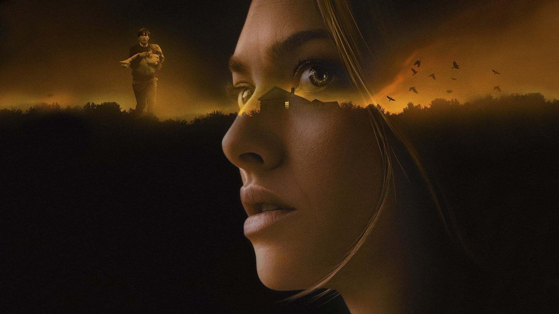 ნანახი და გაგონილი ამბები  ქართულად -  Things Heard amp Seen