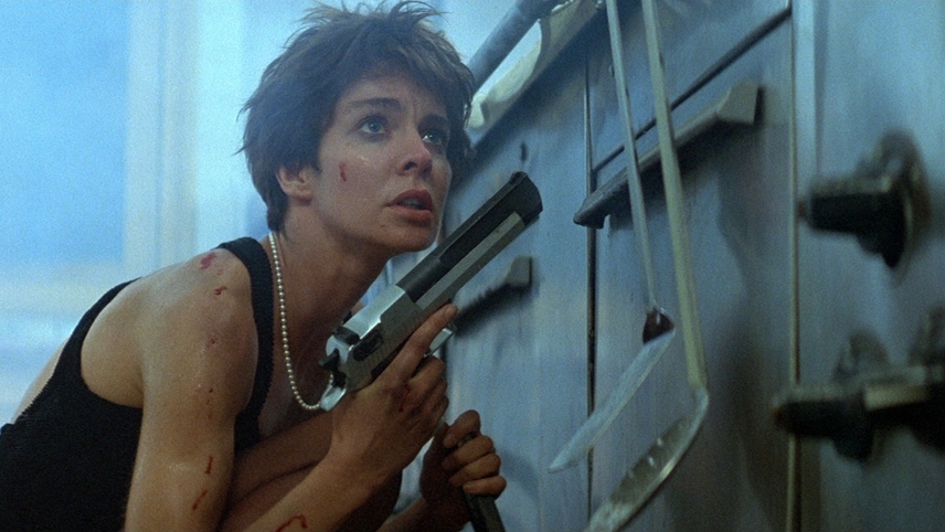 ნიკიტა  ქართულად -  La Femme Nikita