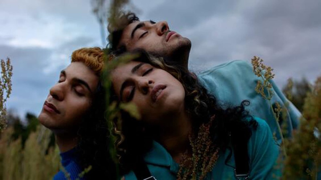 განსაკუთრებული გრძნობების გარეშე  ქართულად -  No Hard Feelings