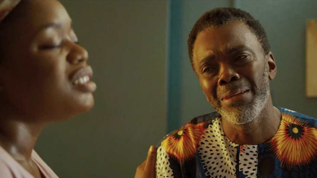 ცხოვრების გამოწვევა  ქართულად -  This Lady Called Life