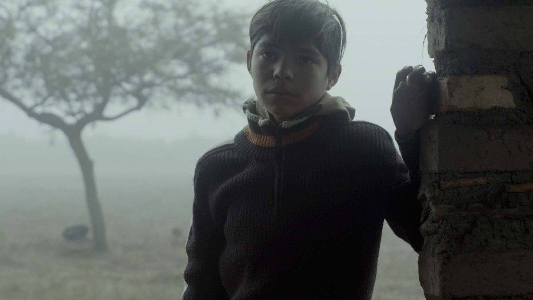 Identifying Features  ქართულად -  Без особых примет