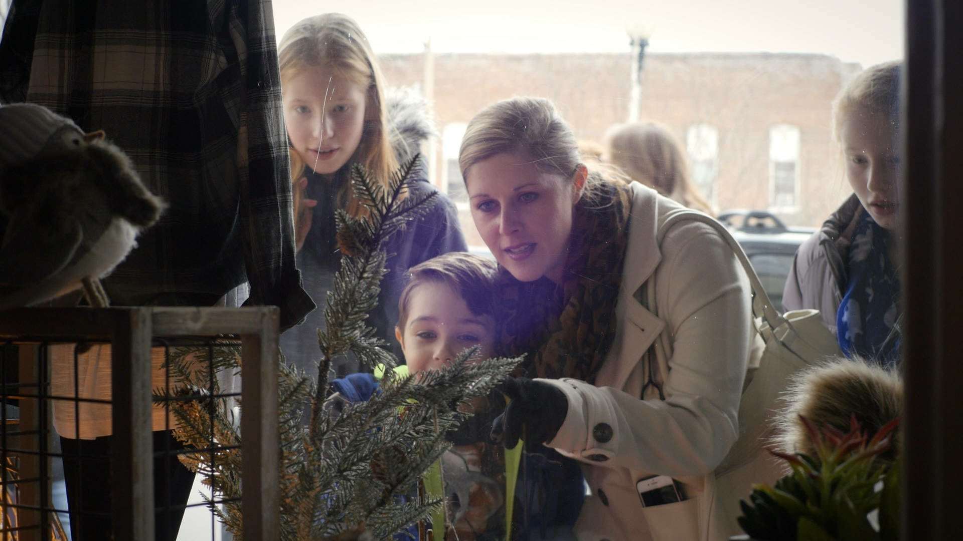 შობა შატოში  ქართულად -  Christmas at the Chateau