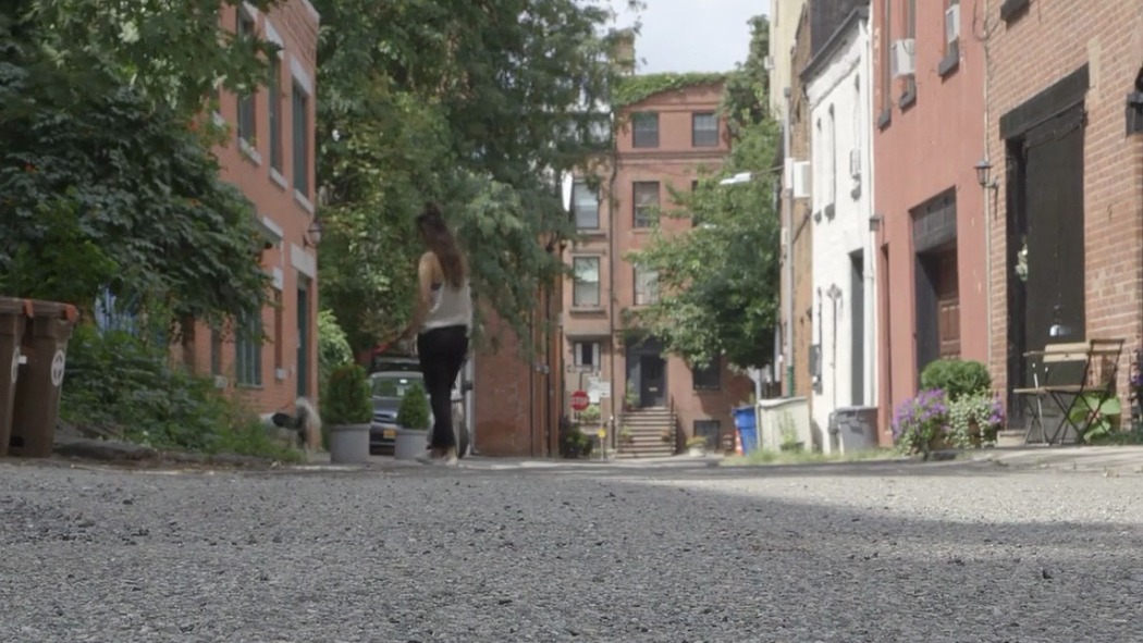 კალიდრისი  ქართულად -  Calidris