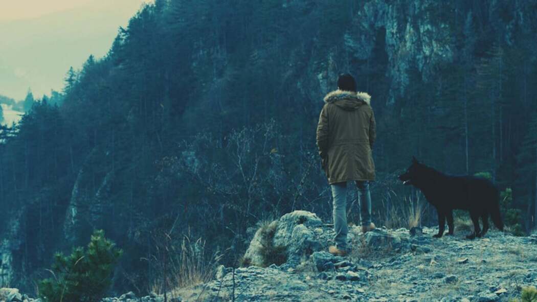 ძაღლები მარტო კვდებიან  ქართულად -  Dogs Die Alone