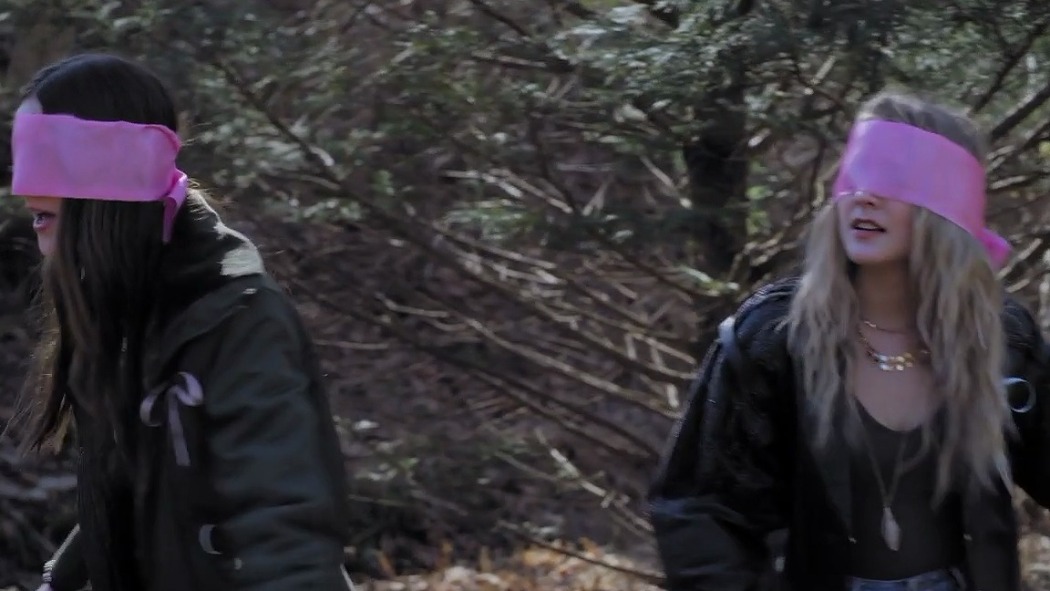 ქალთა ორგანიზაციის საიდუმლოებანი  ქართულად -  Secrets on Sorority Row