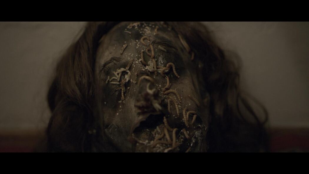 მას  სისხლი სურს!  ქართულად -  It Wants Blood!